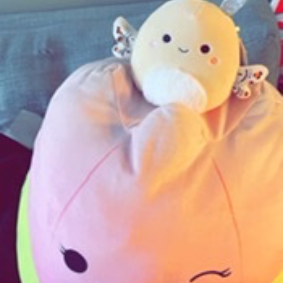 Squishmallow Berit 5” BNWT - Picture 2 of 2